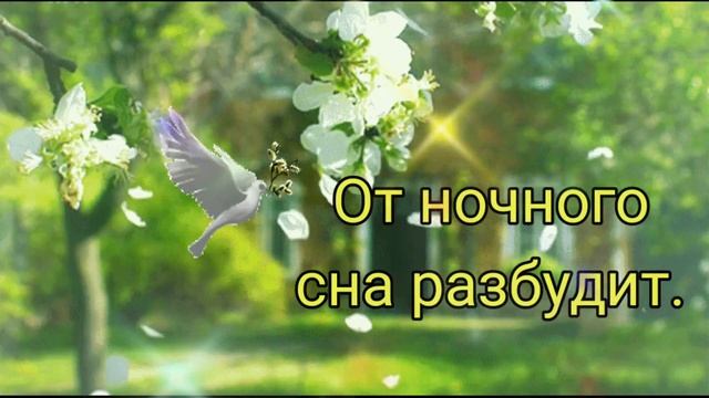 С Добрым Весенним Утром! Улыбнись!