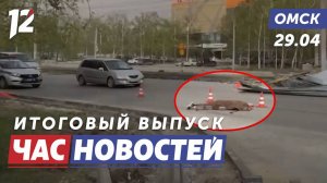 Омич стал жертвой разгула стихии / Суд над жадными юристами / «Наша гордость». Новости Омска