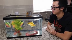 Еще 25 способов разбить SWITCH LITE(Озвучка)