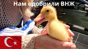 Нам одобрили ВНЖ