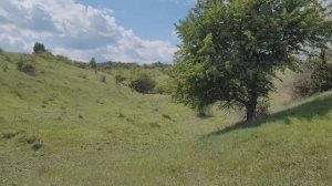 Продам сх участок 31га в п. Хохольский Воронежской области