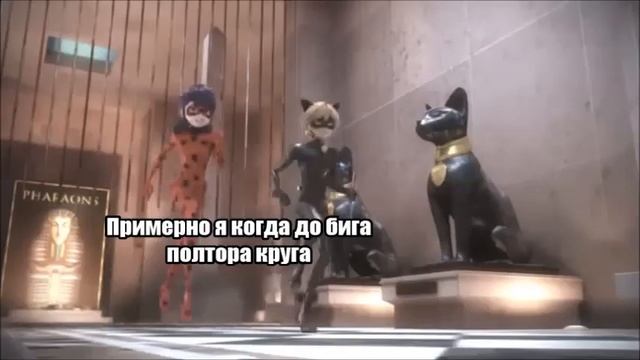 МЕМЫ !!!