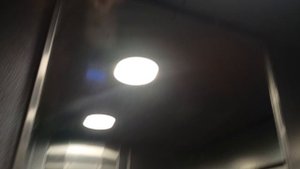 Лифт в Московском зоопарке. Вольер Слоны