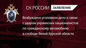 Возбуждено уголовное дело в связи с ударом украинских националистов  по гражданскому автомобилю
