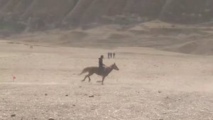 КОННЫЕ СКАЧКИ ! СЕЛО БУЦРА