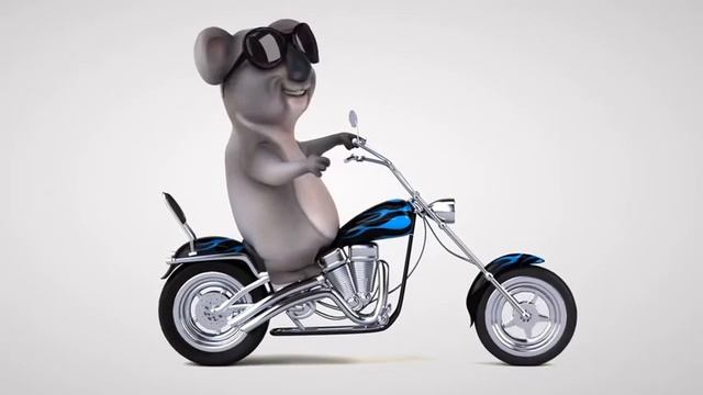 ANIMACION DE KOALA BIKER. KOALA BIKER ANIMATION. ANIMATION DE BIKER DE KOALA смотреть онлайн