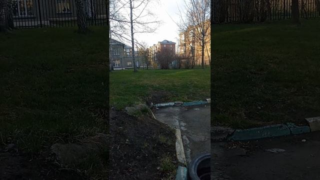 VID_20250428_192443 Новосибирск. Дворики на ул Гоголя.