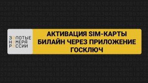 Активация сим-карты билайн через Госключ