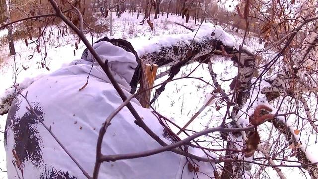 Хищник VS Следопыт