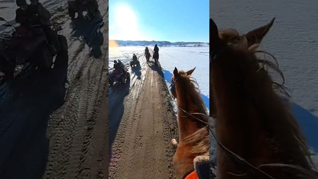 Тур на лошадях по Каппадокии. Турция. Февраль 2022. смотреть онлайн