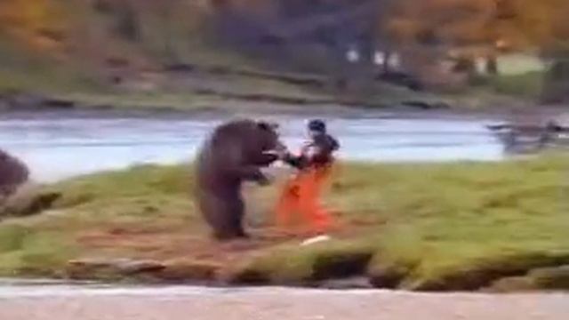 Медведь который владеет карате смотреть онлайн