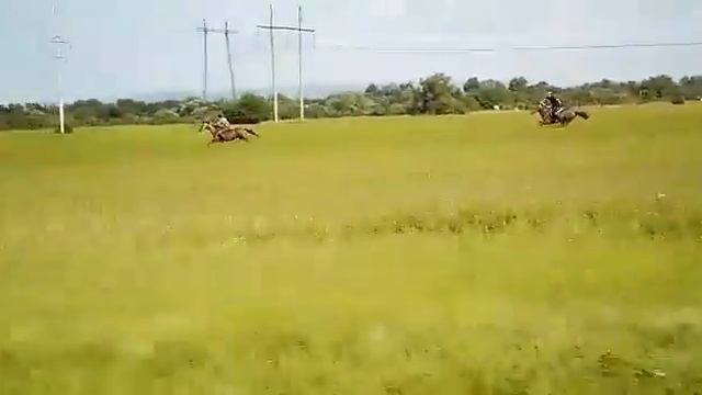 мочкхий юрт смотреть онлайн