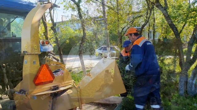 Дробление веток.
