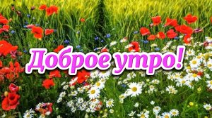 Доброе утро. Проснувшись погружаюсь в новый день