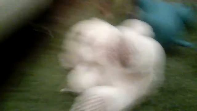 Tv центр ржач№3 финал смотреть онлайн