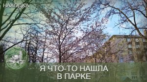 Весенняя находка в парке