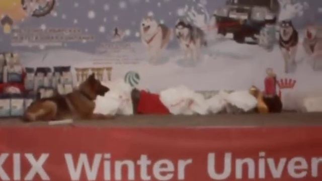 Гонки на собачьих упряжках (представление 4) смотреть онлайн