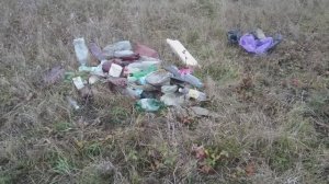 Мусорные свалки и проблемы окружающей среды