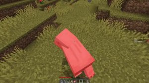 DakPlay НУБ ТЕЛЕПОРТИРУЕТСЯ КАЖДЫЕ 20 СЕКУНД В МАЙНКРАФТ ! НУБИК ПРОТИВ ТРОЛЛИНГ ЛОВУШКА В MINECRAF