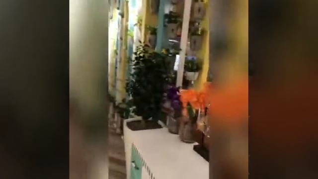 Вечер в семейном ресторане Аура смотреть онлайн