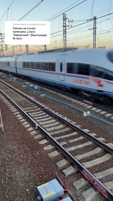 Бархатный путь для сапсана #ржд #поезда #работа #subscribe #москва #сапсан #shorts смотреть онлайн