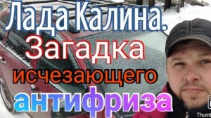 Лада Калина. Загадка исчезающего антифриза..mp4