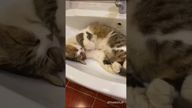 А Я К ТЕБЕ ПО КРАЕШКУ РАССВЕТА!