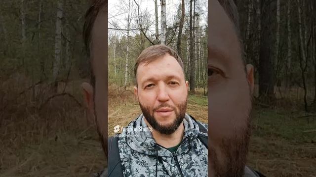 ЕСЛИ ТЕБЯ НАЗЫВАЮТ СЕКТАНТОМ 😲 #голоспророка