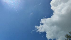 30 июля 2023 г. Кормиловский район Омская