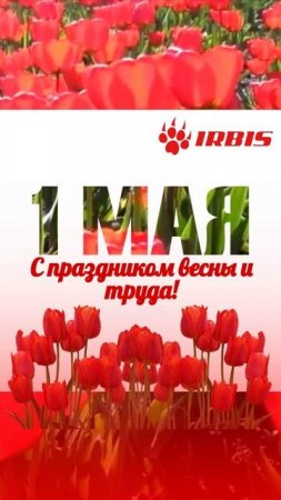 С праздником, друзья!
