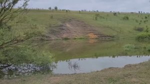 Продам с/х участок 97га с прудом, пашней, лесом, лугом, меловые горы в п.Хохольский Воронежской обл.