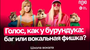 3.7 Голос, как у бурундука: баг или фишка? Школа вокала.