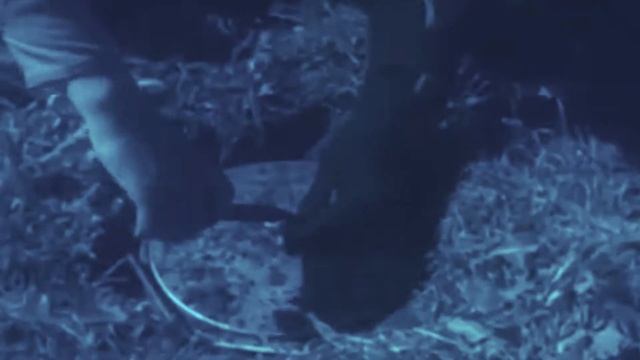 МЫ ПОБЕДИЛИ!   ролик поддержки -  Черные ножи смотреть онлайн