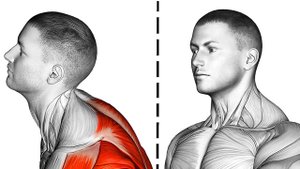 6 Упражнений для Улучшения Осанки наклона головы вперед