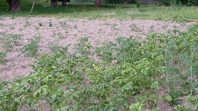 Русская деревня сегодня! Мы в деревне)