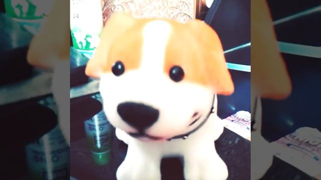 Собачка:) смотреть онлайн