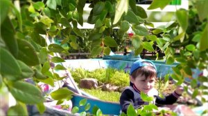 Слайд шоу из фотографий: оживите  лучшие моменты вашего ребенка  🎵