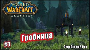 World of Warcraft: Classic - Серебряный бор: Доставка в Серебряный бор (1)