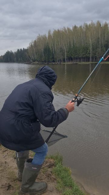 Поимка карпа смотреть онлайн