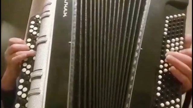 Баян Кунгур 61*100