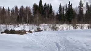 Прекрасная погода