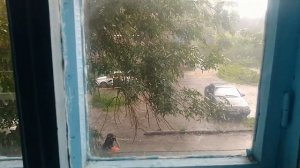 ДОЖДЬ ЛЬЁТ. НЕ МОГУ ВЫЙТИ ИЗ СВОЕГО ПОДЪЕЗДА. ВИД ИЗ ОКНА ПОДЪЕЗДА. ЛИВЕНЬ. СЕМЕЙ. НАБЕРЕЖНАЯ. ИРТЫ