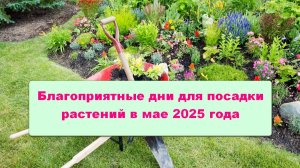 Благоприятные дни для посадки растений в мае 2025 года