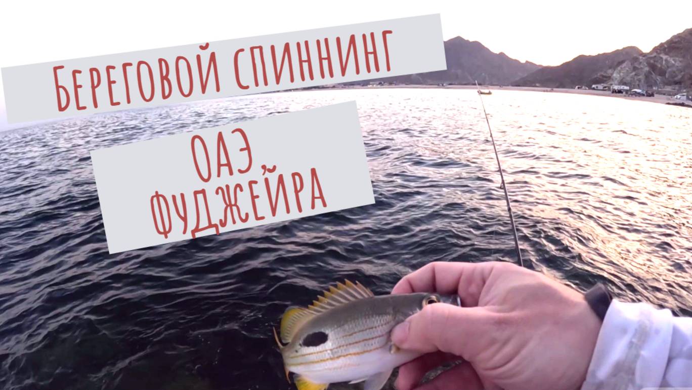 Особенности берегового спиннинга в ОАЭ (Фуджейра, Оманский залив)