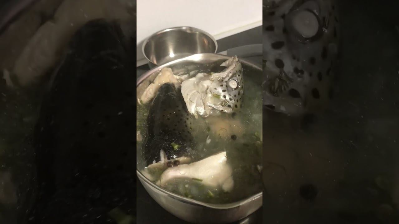 Наваристая Уха из Сёмги  #еда #уха #мукбангроссия #вкусно #рецепт