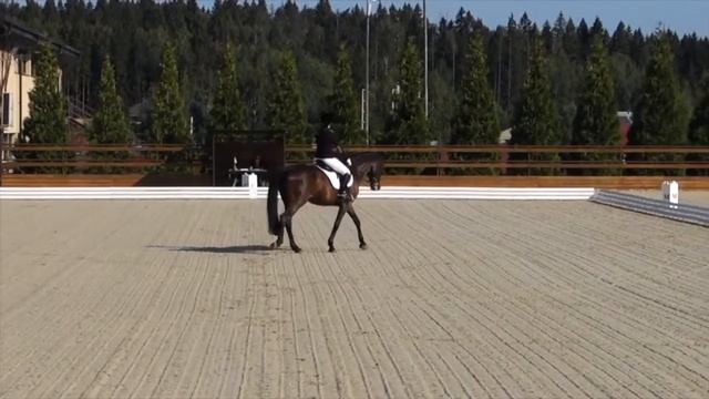 Командный приз Юноши (КПЮ). Обзор