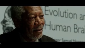 Что если бы мы использовали мозг на 100% ? Valter_narkoman