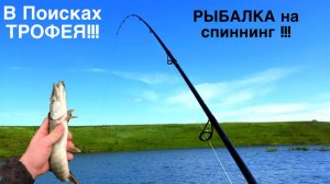 РЫБАЛКА НА СПИННИНГ!!!В ПОИСКАХ ТРОФЕЯ!!ПОЙМАЛ ЩУКУ ЗА ХВОСТ!!