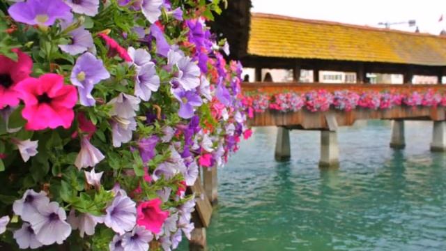 "Смуглый моряк" (А.Нуждин) смотреть онлайн