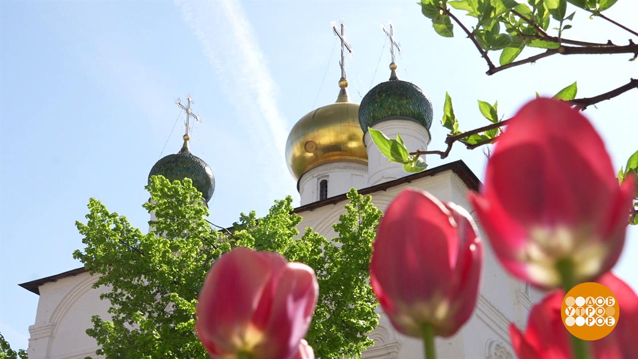 Радоница: у Бога все живы. Доброе утро. Фрагмент выпуска от 29.04.2025